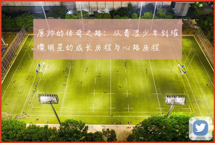 原帅的传奇之路：从青涩少年到璀璨明星的成长历程与心路历程