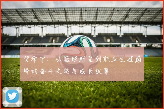 贺希宁：从篮球新星到职业生涯巅峰的奋斗之路与成长故事