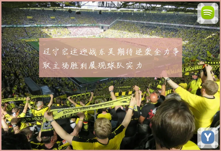 辽宁宏运迎战东吴期待逆袭全力争取主场胜利展现球队实力