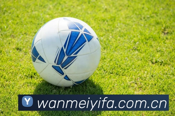 完美体育APP 封面图